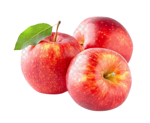 apple red fruit