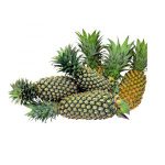 pineapple fruit