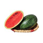 water melon red
