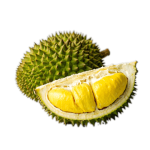 DURIAN