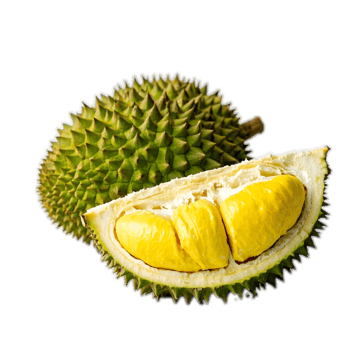 DURIAN