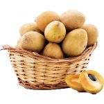 sapoche fruit