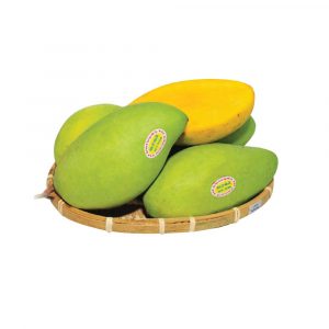 mango fruit